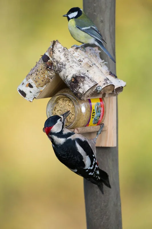 Holz-Halterung für Futterglas