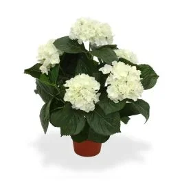 Hortensien Kunstblumen Deluxe 45 cm creme