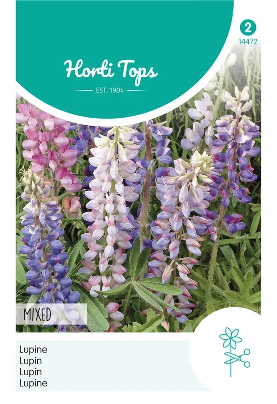 Horti Tops Lupine Hartwegii Einjährige Mischung