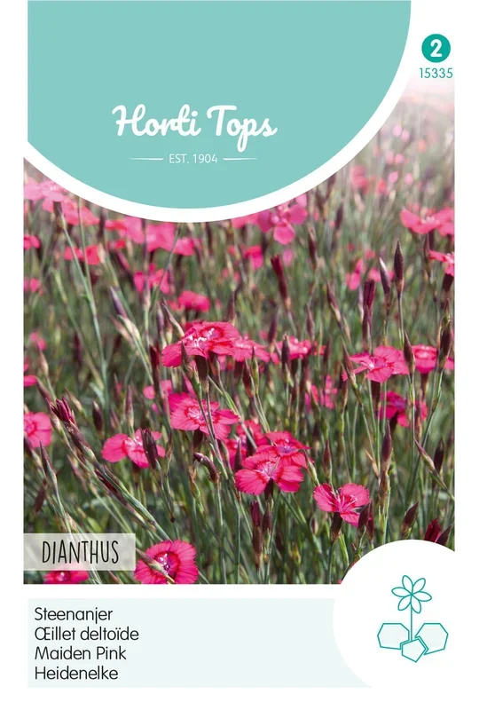 Horti Tops Nelke Erectus Karminrot