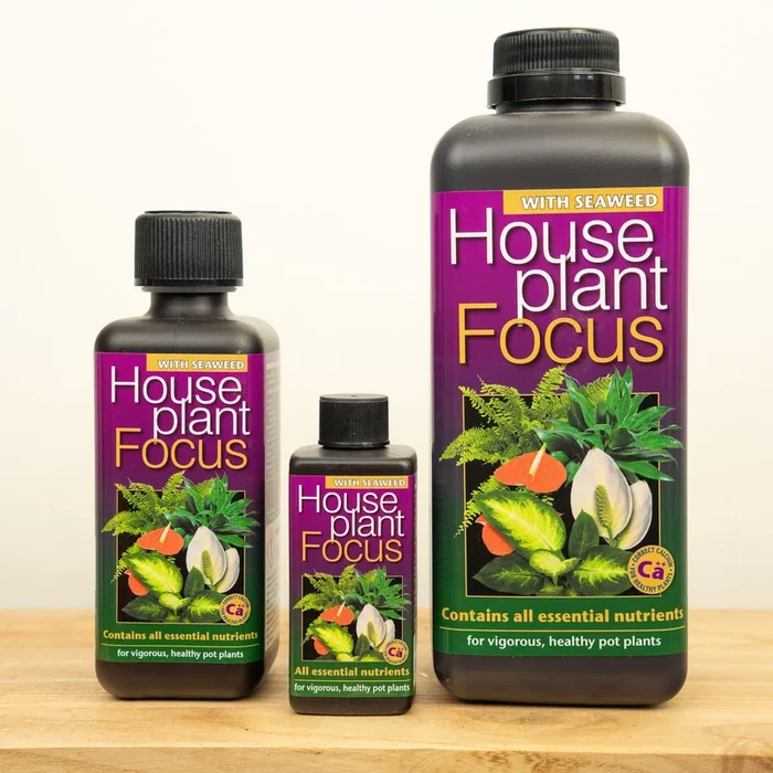 Houseplant Focus – Plant Food