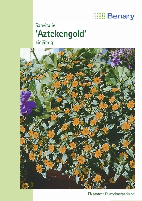 Husarenknopf Aztekengold
