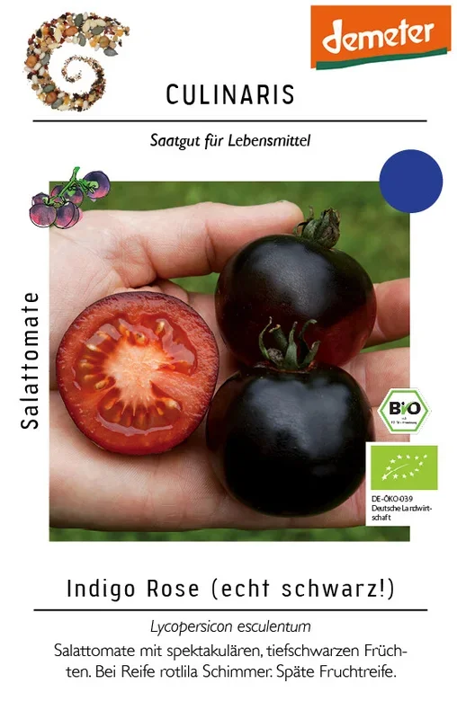 Indigo Rose schwarze Salattomate echter Blickfang