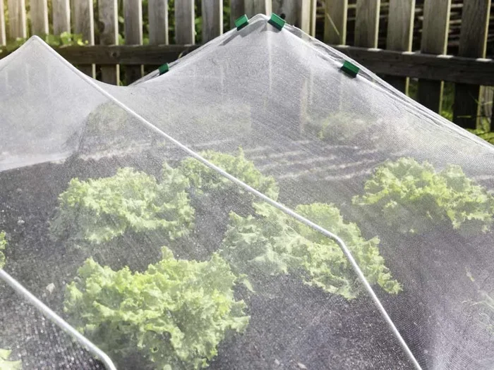 Insektenschutz-Netz feinmaschig zum Schutz vor Gemüsefliegen, UV-stabilisiert, 5 x 2 m