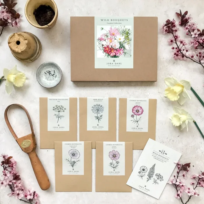 Jora Dahl Wild Bouquet „Cosmos Collection“ Samen-Set