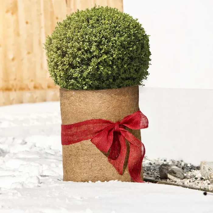 Jute-Wickelstreifen, 10 cm x 25 m, rot Bestellnummer 7713566