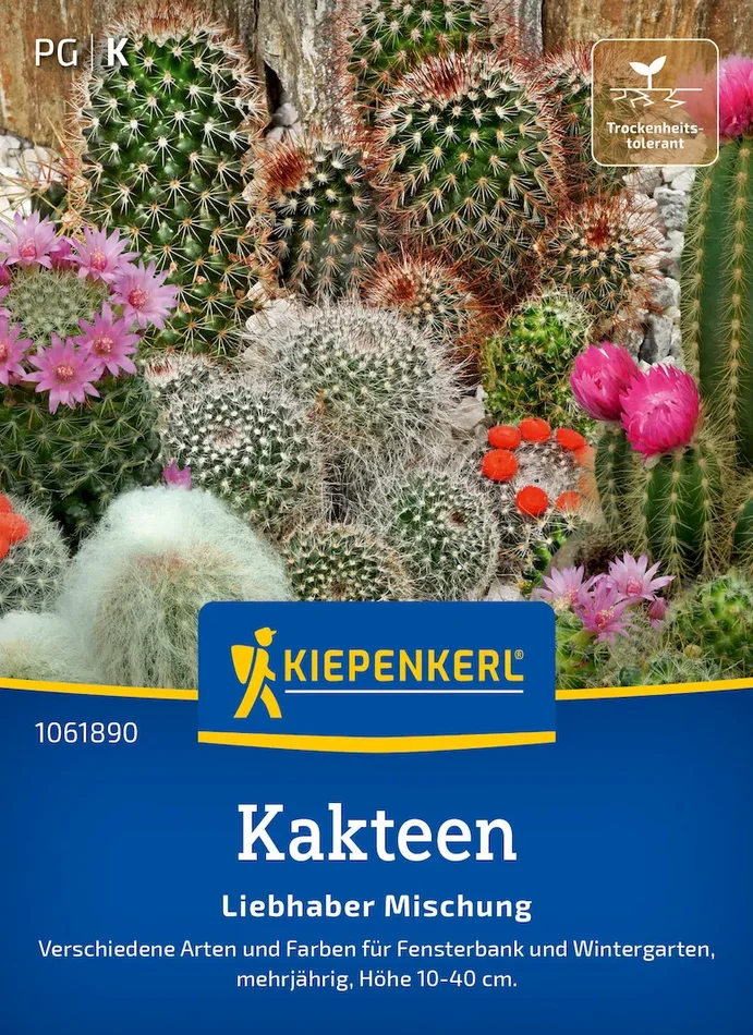 Kakteensamen Liebhaber Mischung