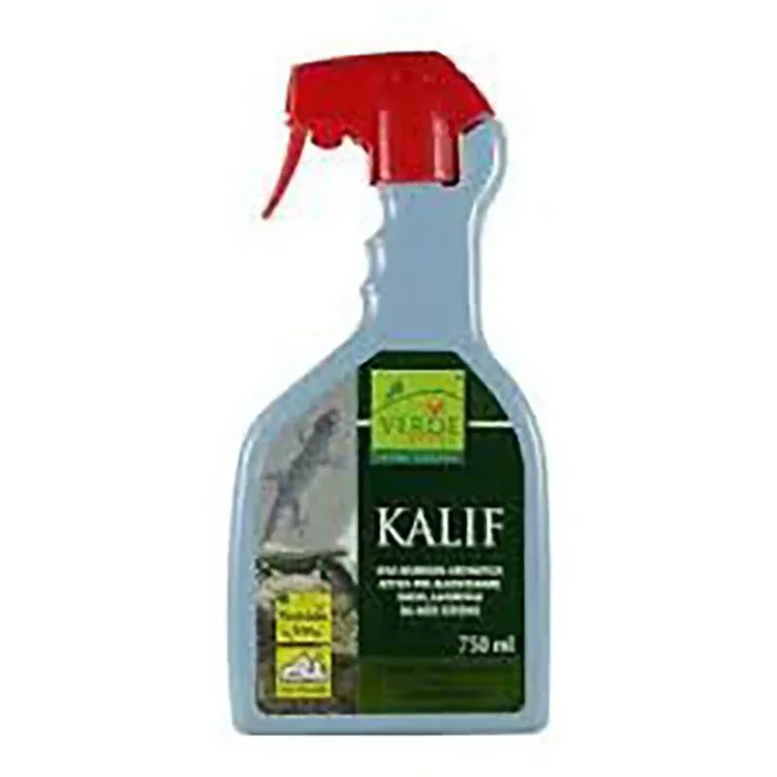 KALIF BEHINDERT GECHI UND LIZARDS SPRAY 750ML