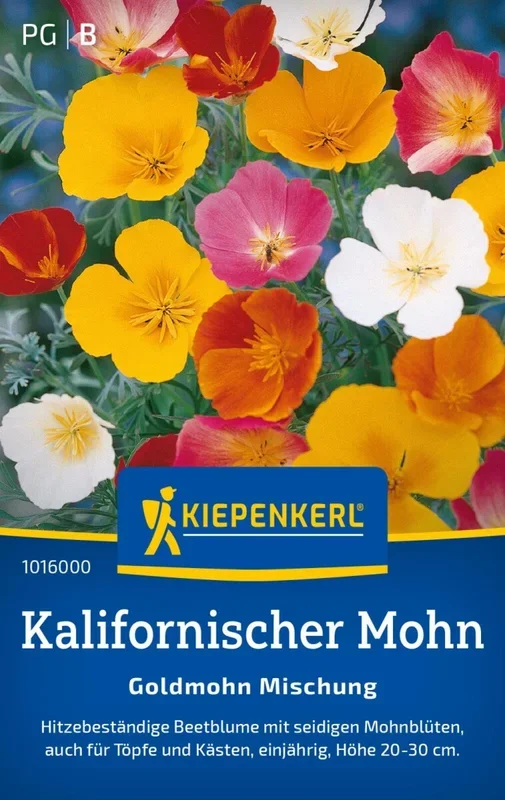 Kalifornischer Mohn Goldmohn Mischung, Hitzebeständige Beetblume – auch für Töpfe u Kästen