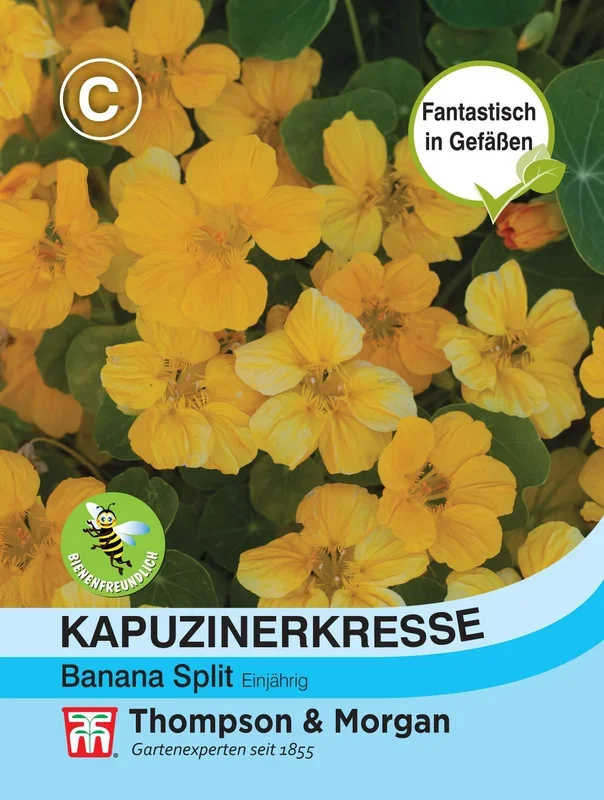 Kapuzinerkresse Banana Split