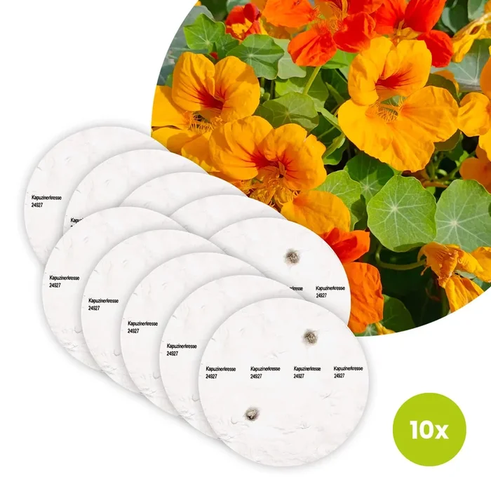 Kapuzinerkresse Bio-Blumen – 10 Saatscheiben