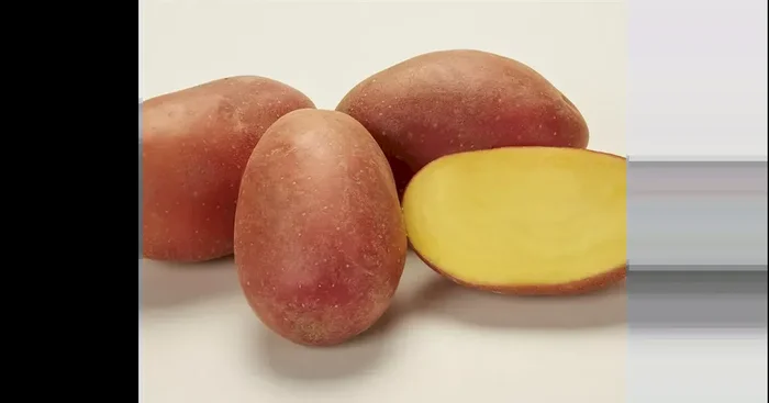 Kartoffeln Big Rossa festkochend 1 kg