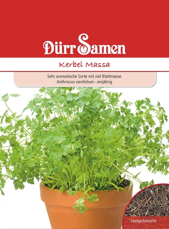 Kerbel Massa [MHD 12/2023]