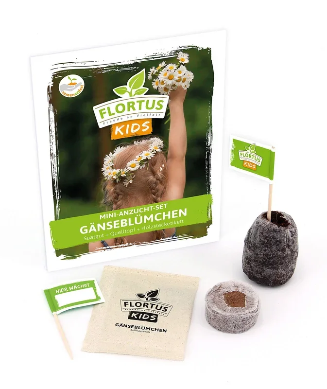 KIDS Mini Anzuchtset Gänseblümchen