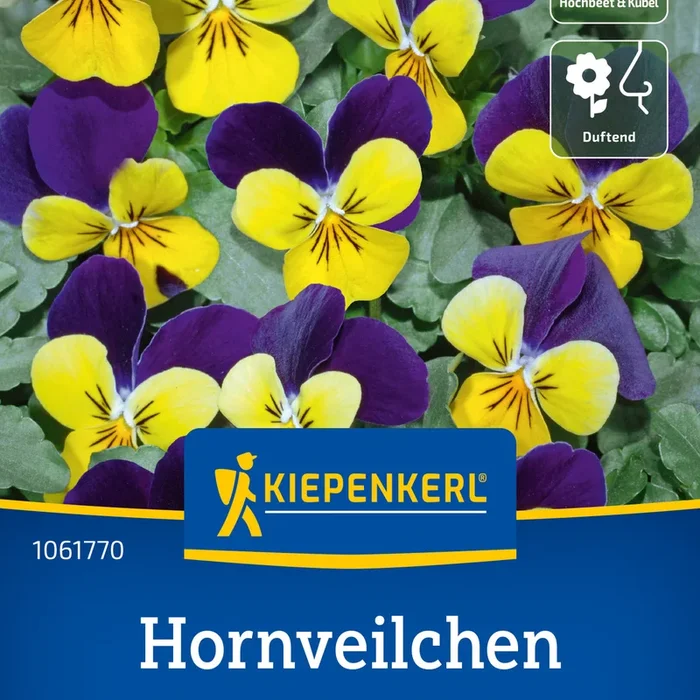 Kiepenkerl Hornveilchen Helen Mount