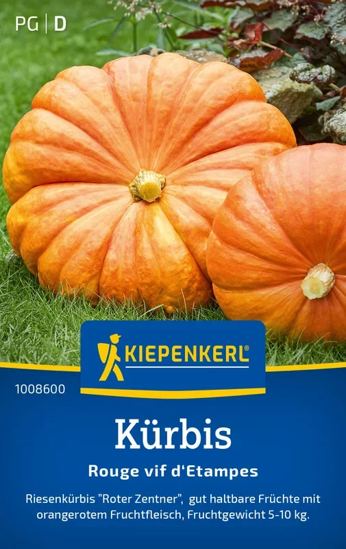 Kiepenkerl Kürbis Rouge vif d’Etampes „Roter Zentner“