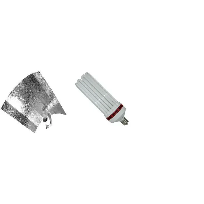 KIT CFL-Lampe 300W FLORAISON 1