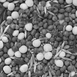 Kleegras Bio 1000 – Zwischenfutter
