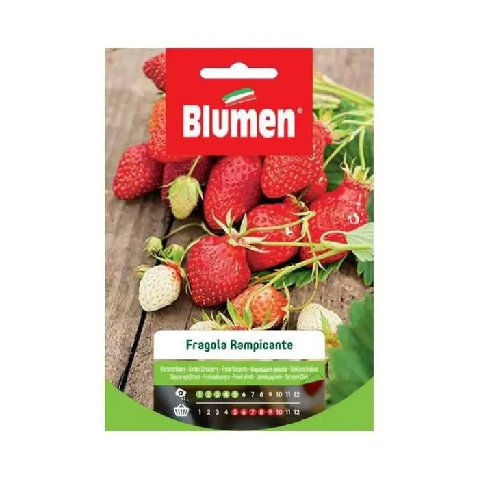 Klettererdbeersamen im Beutel