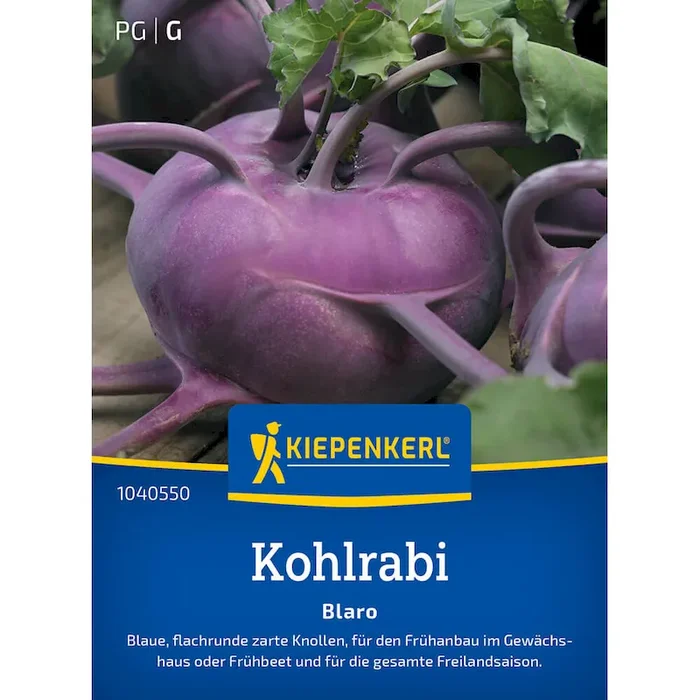 Kohlrabi Blaro Brassica oleracea gongylodes – Bestellnummer 9906701