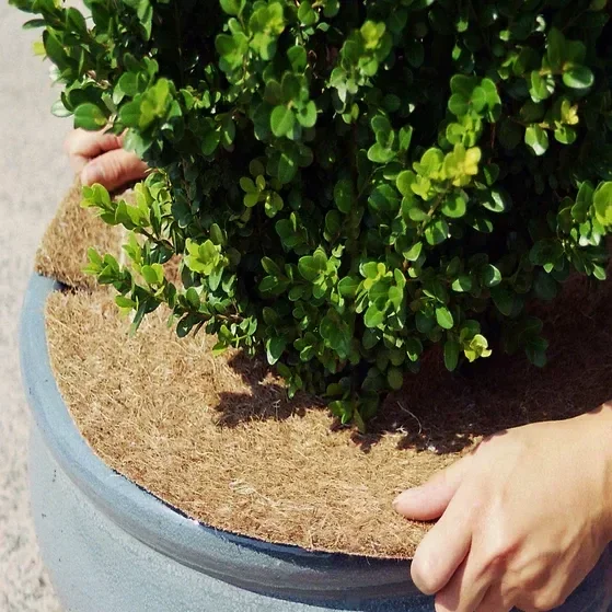 Kokos – Mulchscheibe Ø 25 cm