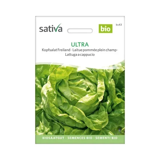 Kopfsalat Freiland Ultra Biosamen ks43