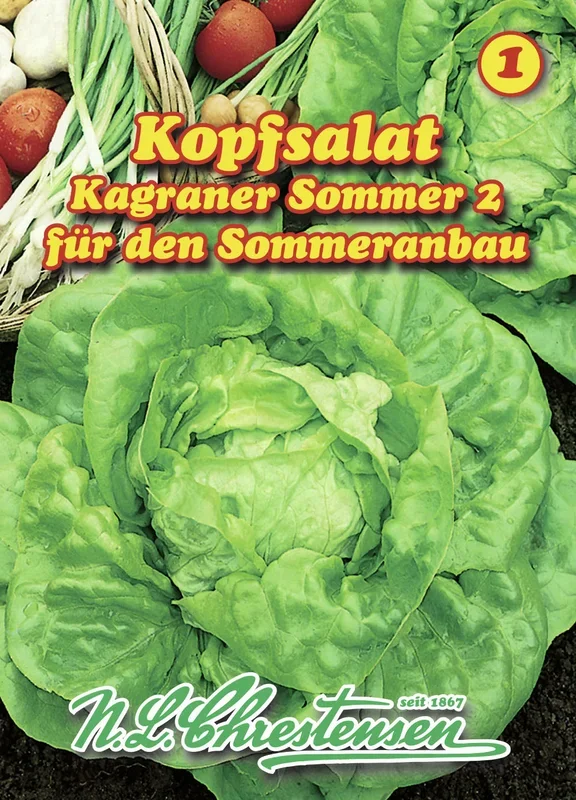 Kopfsalat Kagraner Sommer 2 (10 g) [MHD 01/2025]