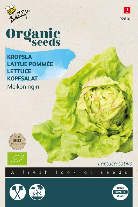 Kopfsalat Maikönig [MHD 07/2024]