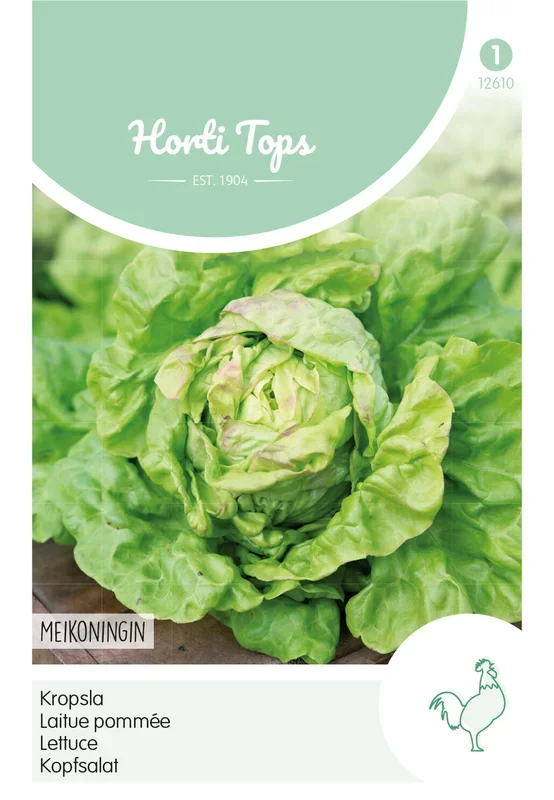 Kopfsalat Maikönig [MHD 07/2025]