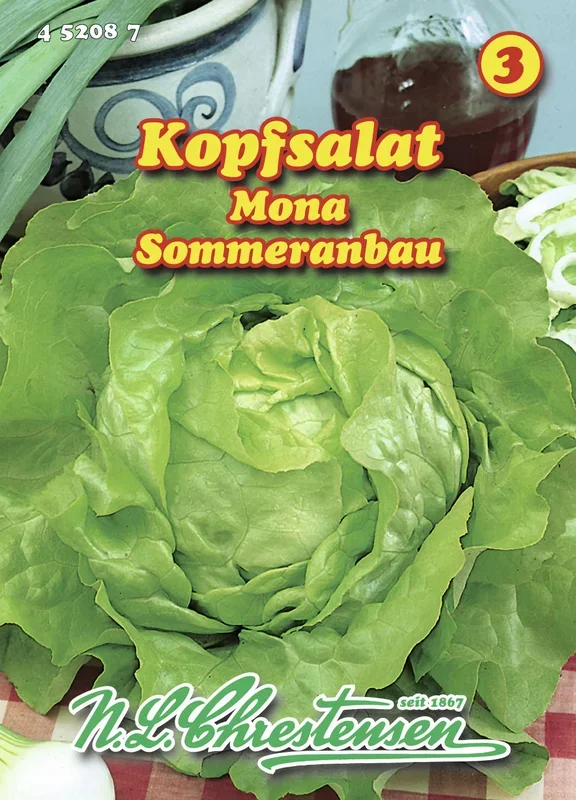 Kopfsalat Mona [MHD 01/2026]