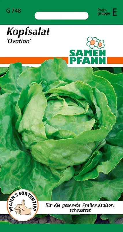 Kopfsalat Ovation [MHD 01/2024]