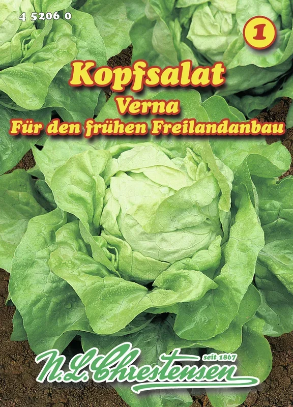 Kopfsalat Verna [MHD 01/2026]