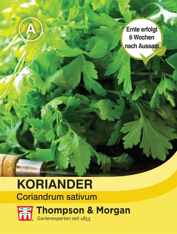 Koriander [MHD 12/2023]