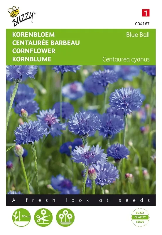 Kornblume ‚Blue Ball / Boy‘