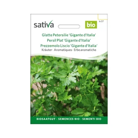 Kräuter Glatte Petersilie ‚Gigante D’Italia‘ Biosamen kr37