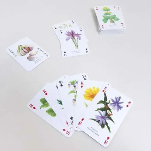 Kräuter-Spielkarten