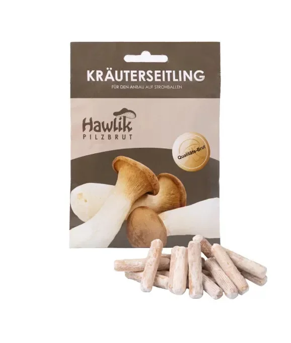 Kräuterseitling Dübel