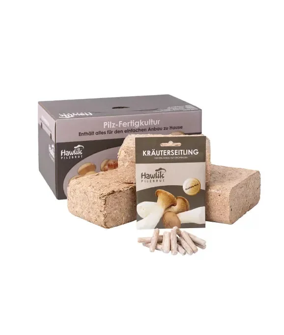 Kräuterseitling Pilzbeet-Set