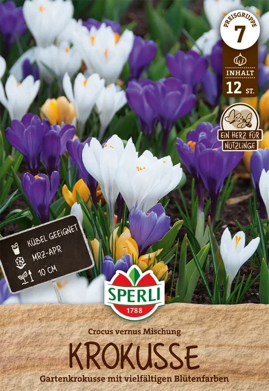 Krokus Mischung (12 Stück)