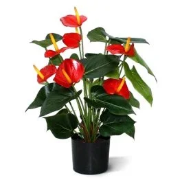 Künstliche Anthurie Deluxe rot 50 cm