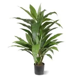 Künstliche Draceana Grün 80cm