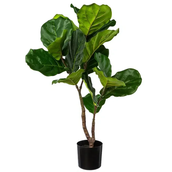 Künstliche Geigenfeige ‚Ficus lyrata‘, Höhe ca. 80 cm