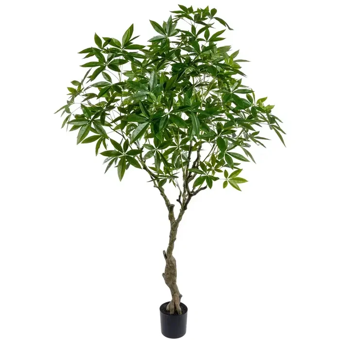 Künstliche Glückskastanie ‚Pachira aquatica‘ Höhe ca. 220 cm