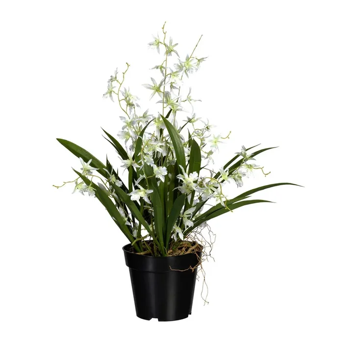 Künstliche Orchidee ‚Dancing Queen‘, weißgrün, Höhe ca. 60 cm