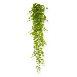 Künstliche Pappeln Hängepflanze 170 cm