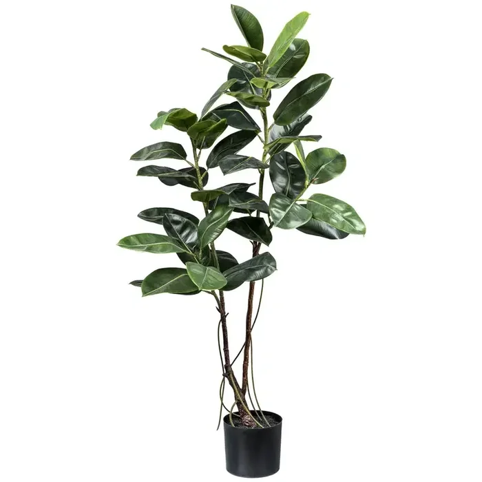 Künstlicher Gummibaum ‚Ficus elastica‘, Höhe ca. 150 cm