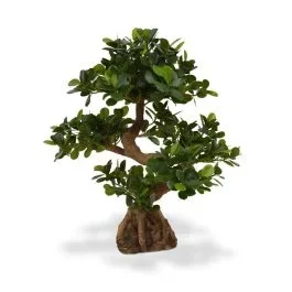 Künstlicher Panda-Bonsai 70 cm auf Fuß