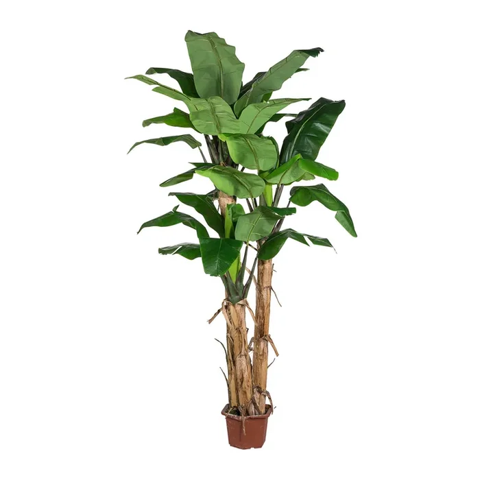 Kunstpflanze Bananenpflanze, Höhe ca. 280 cm