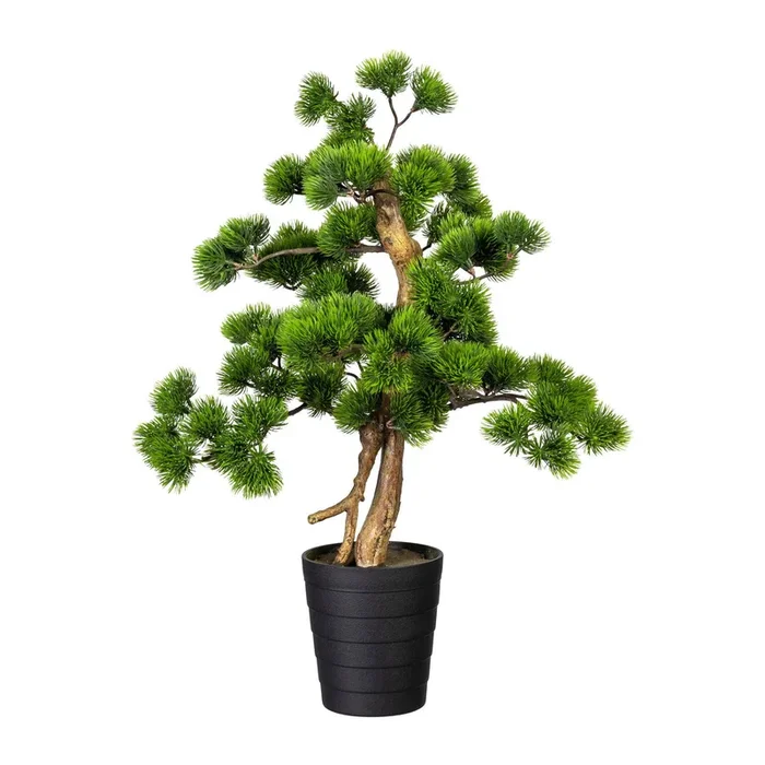 Kunstpflanze Bonsai Kiefer, Höhe ca. 60 cm