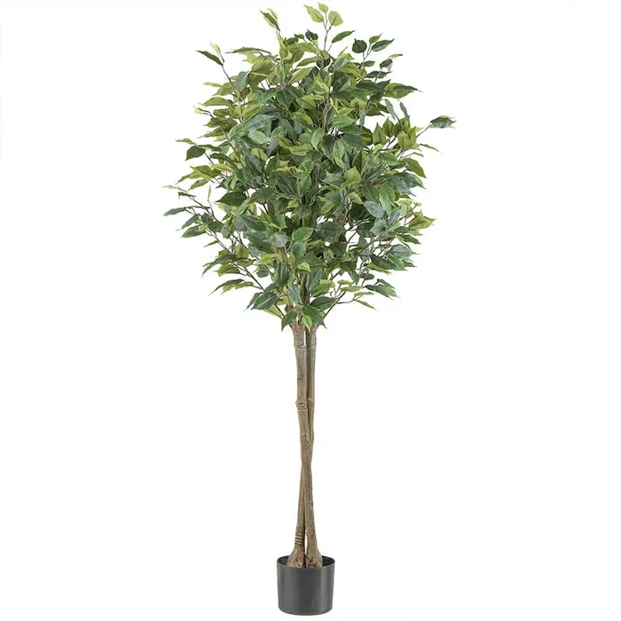 Kunstpflanze Ficus Benjamini (ca. 125 cm) Bestellnummer 8000147